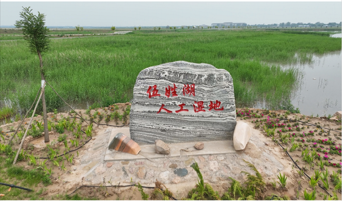 永济伍姓湖生态保护与利用工程
